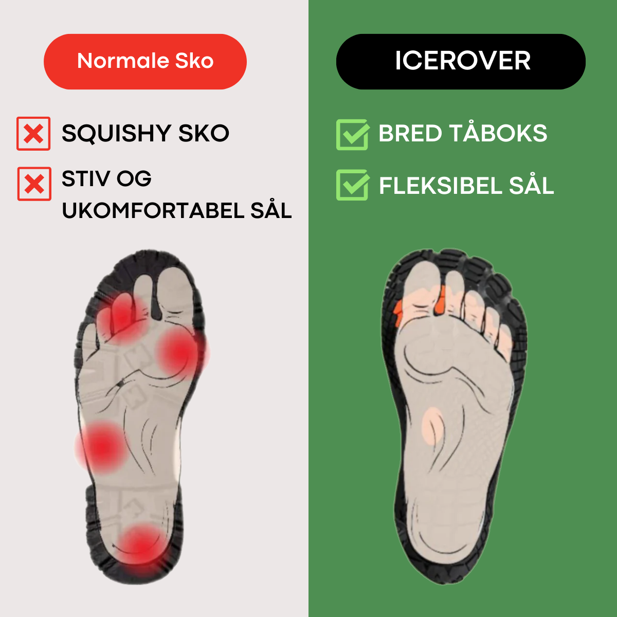 IceRover - Vintervandresko