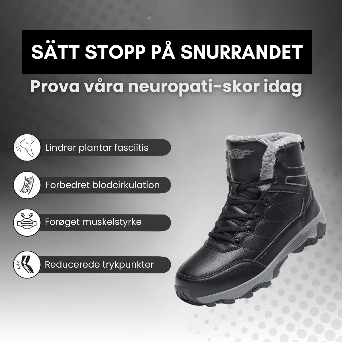 IceRover - Vintervandresko