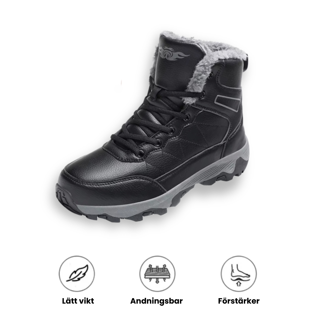 IceRover - Vintervandresko